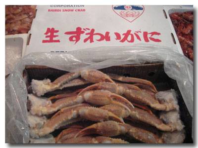 ���E�{���킢�I�V�o�@�R�������A���X�J